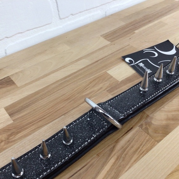 Mad Cow genuine leather Punk Rock dog collar handmade black dark silver studs - Picture 9 of 16